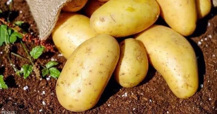 Egyptian Fresh Potatoes